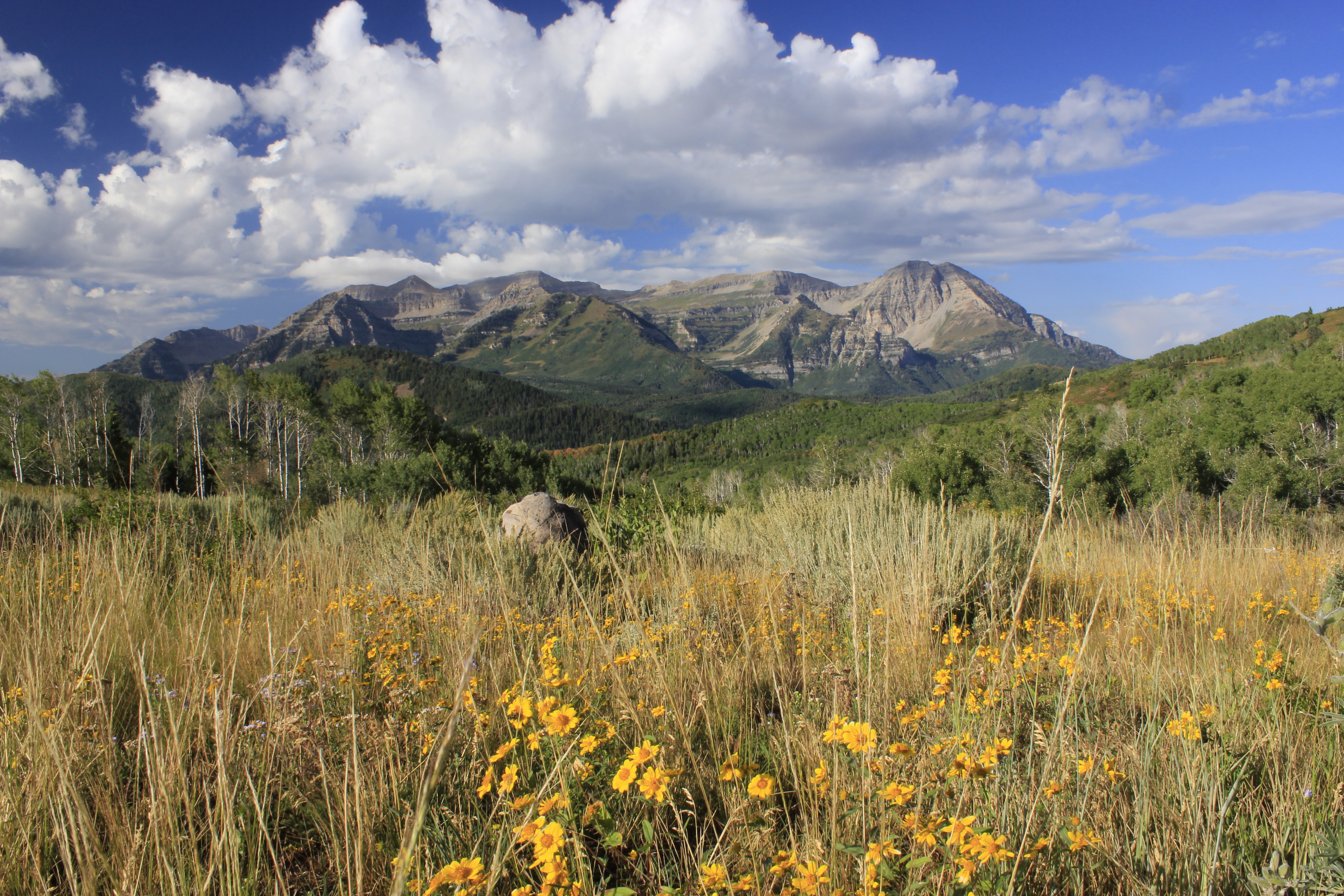 Hard Money Loans of Park City network